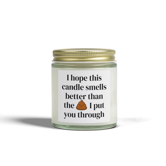 'I Hope This Candle Smells Better Than The  I Put You Through' - Scented Candle