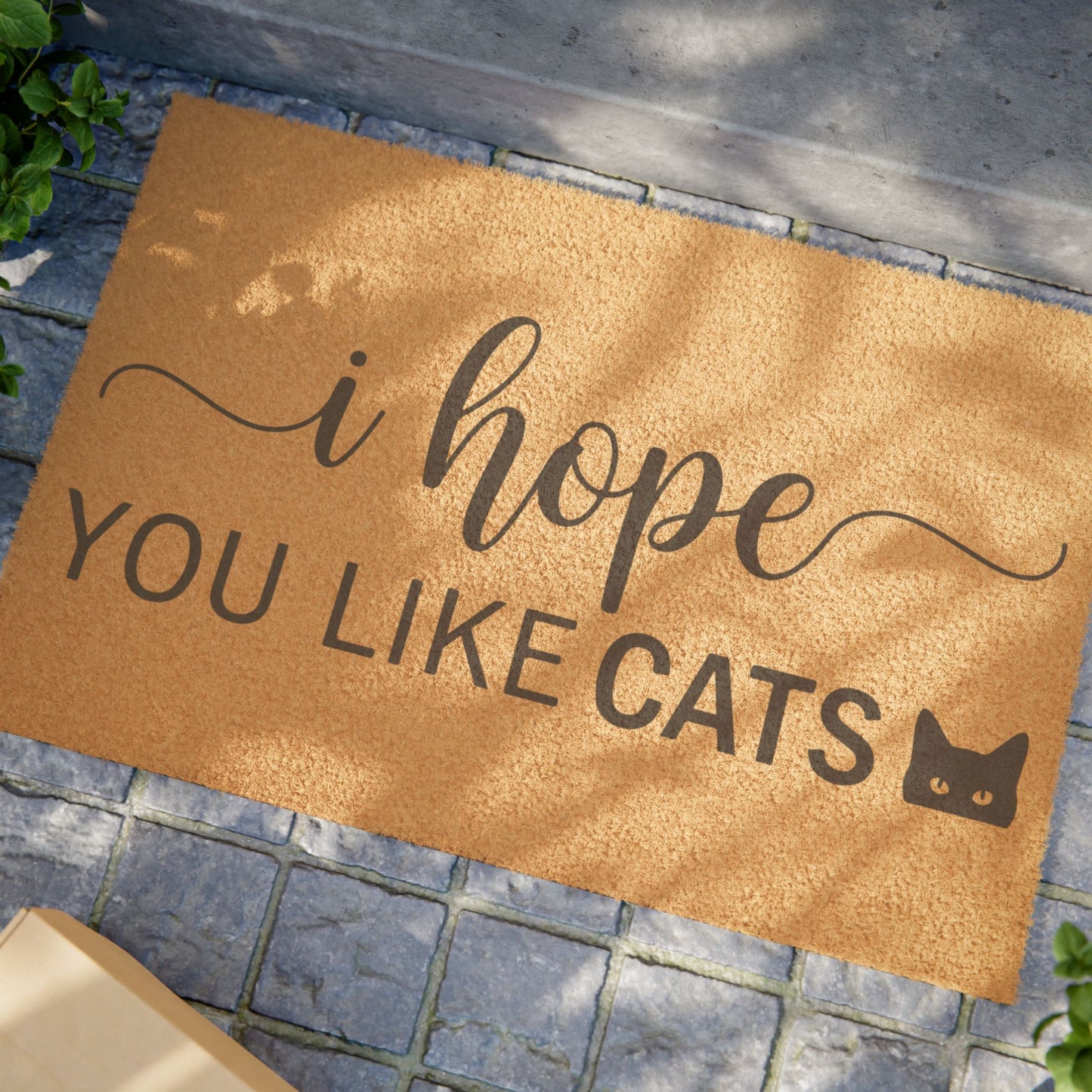 'I Hope You Like Cats' - Doormat